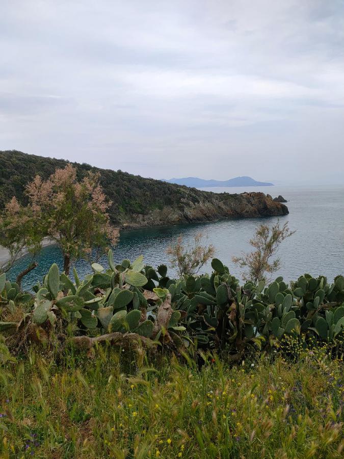 Domus Tilla Piombino Luaran gambar